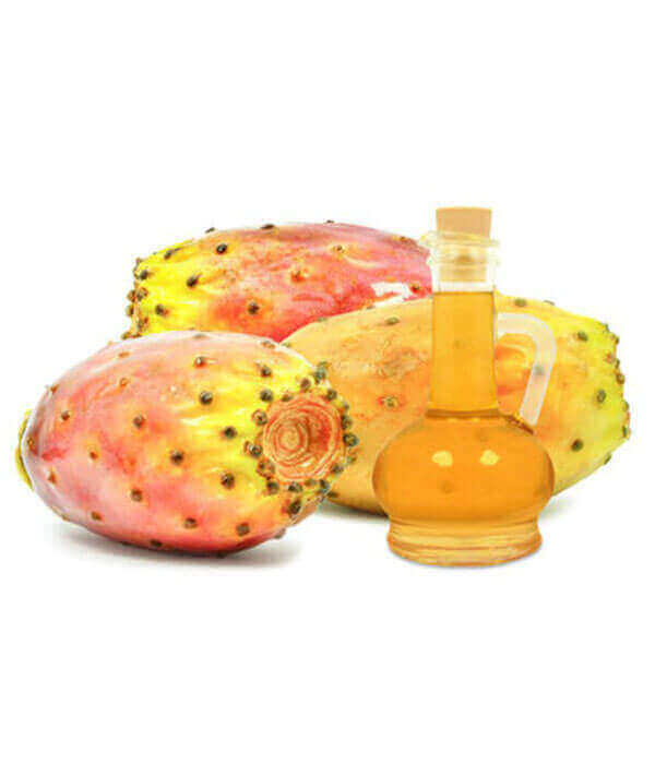 buy Prickly Pear Seed Oil Opuntia Ficus Indica barbary fig seed oil wholesale suppliers manufatures for sale